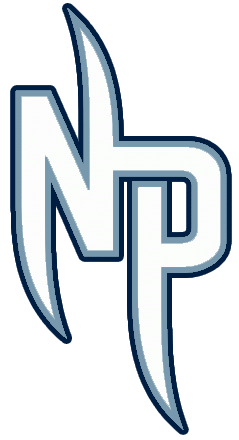 Nashville Predators 2009-2011 Alternate Logo iron on transfers for clothing
